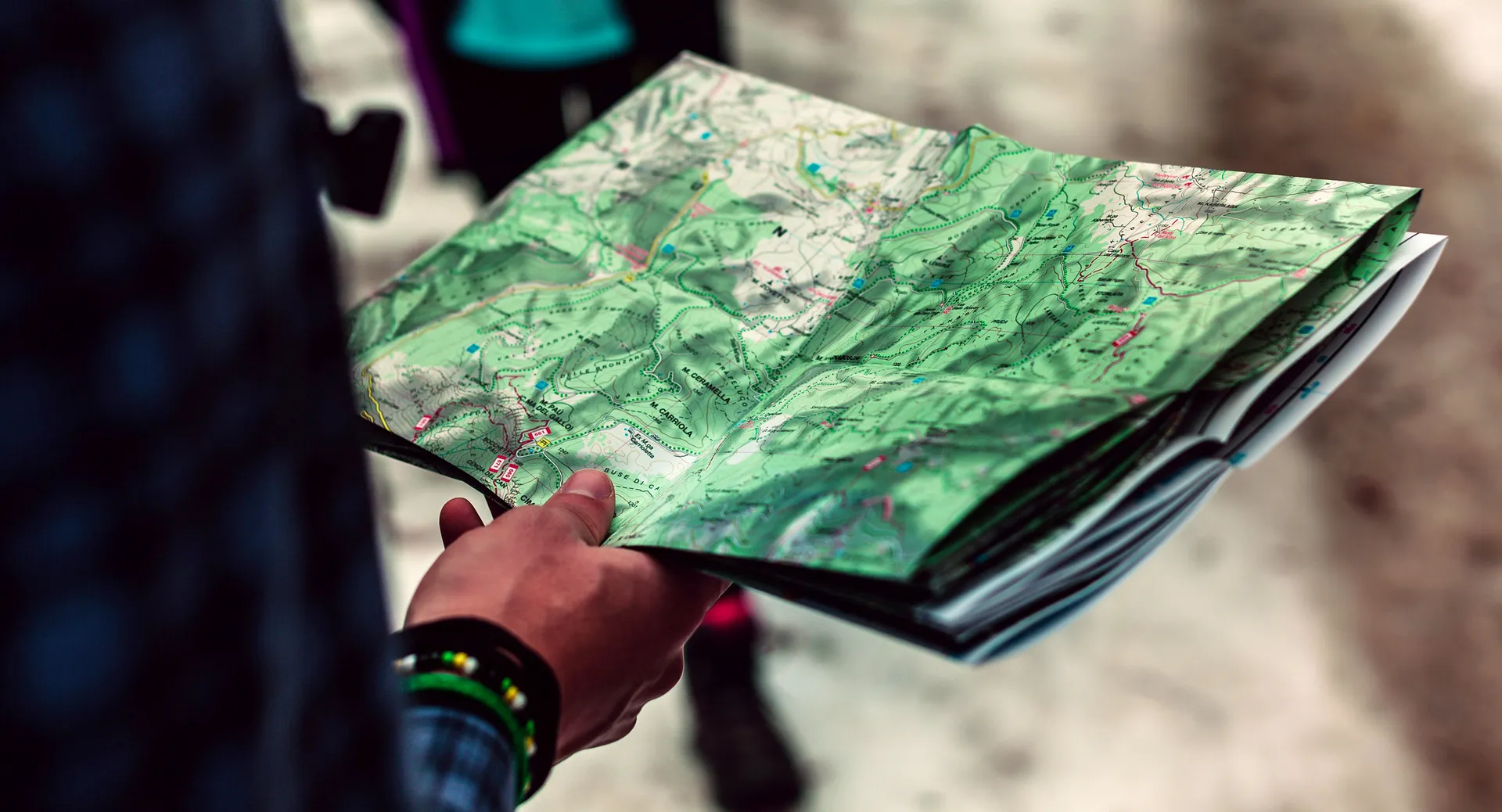 Dissel Development trainer